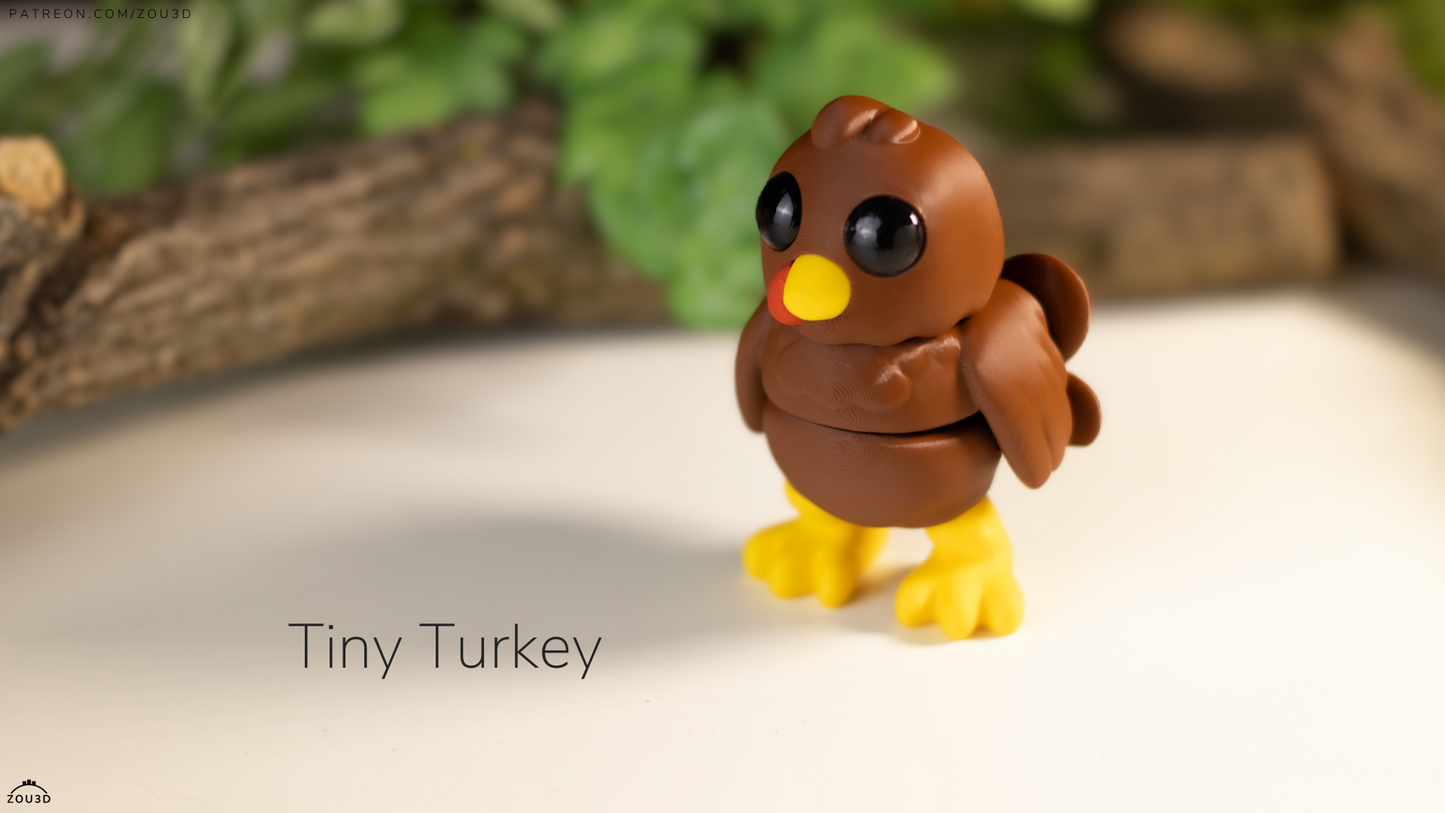 Pocket Pal - Turkey