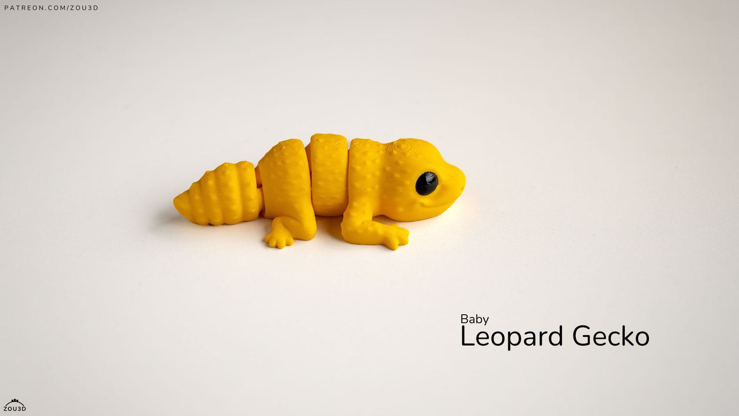 Pocket Pal - Leopard Gecko