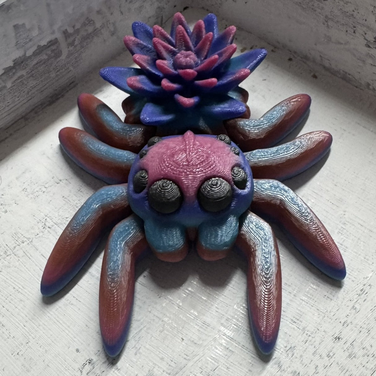 Spider - Water Lily