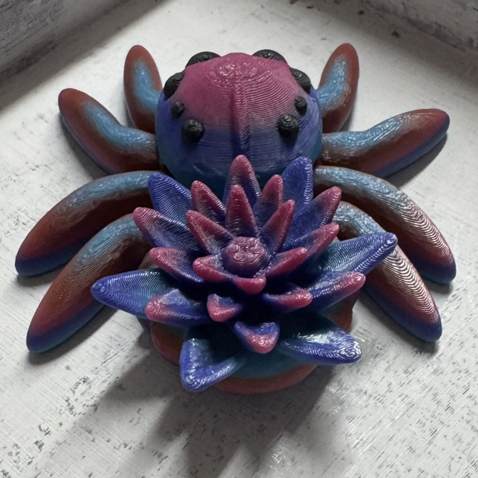 Spider - Water Lily