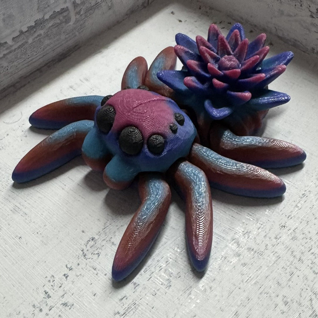 Spider - Water Lily
