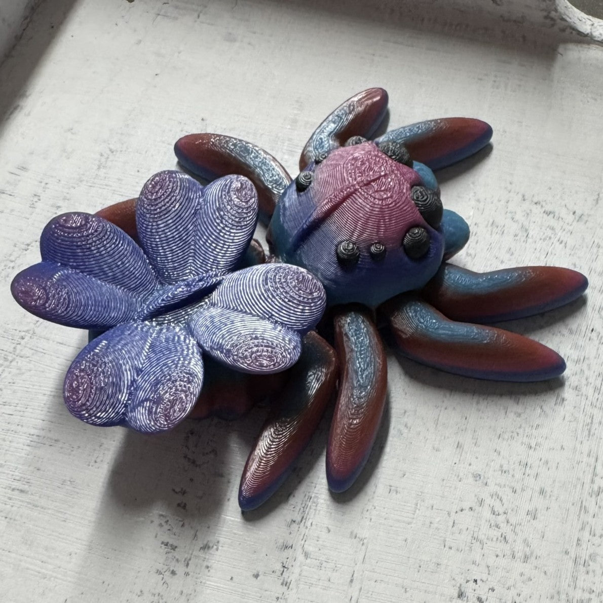 Spider - Clover