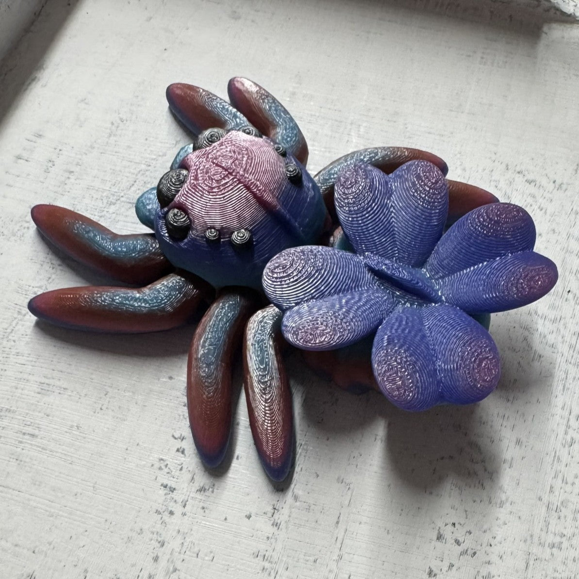Spider - Clover