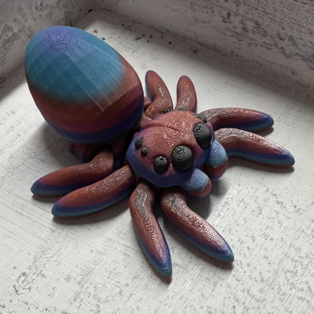 Spider - Egg