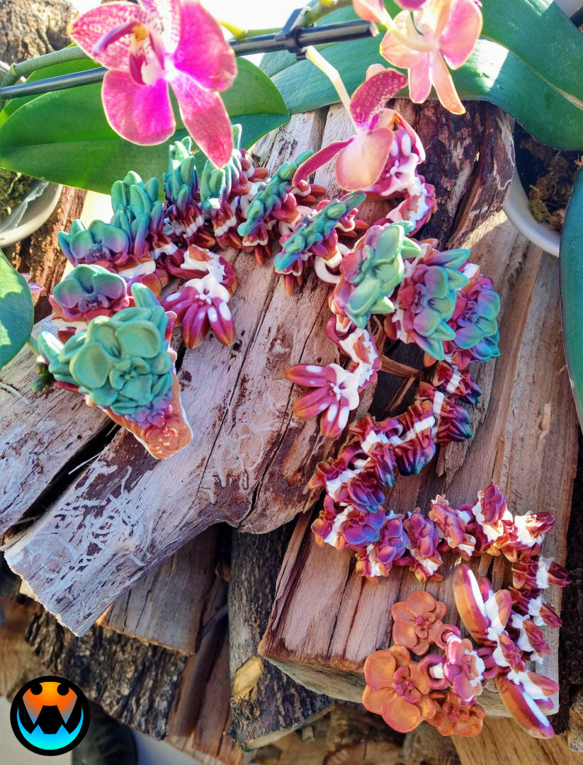 Dragon - Adult Orchid
