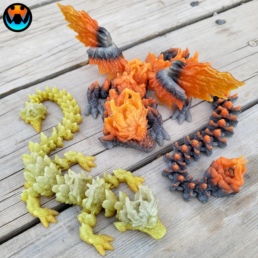 Dragon - Baby Autumnwing