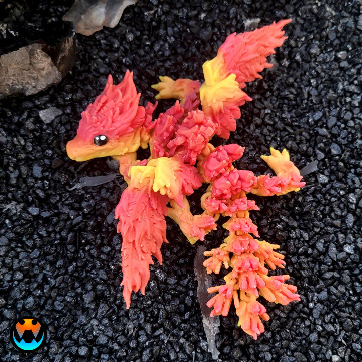 Dragon - Baby Phoenix
