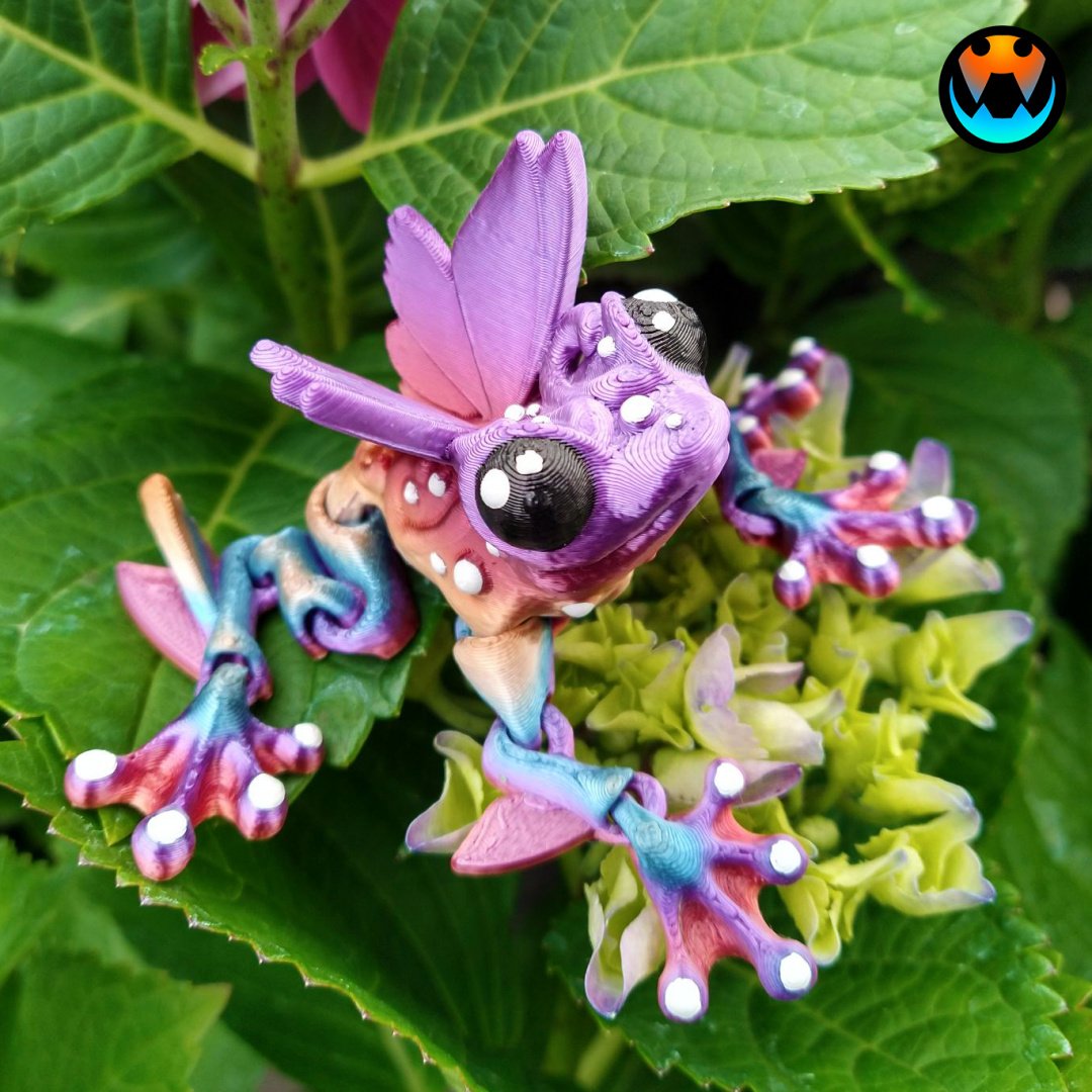 Frog - Flutter