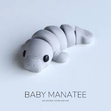 Pocket Pal - Manatee