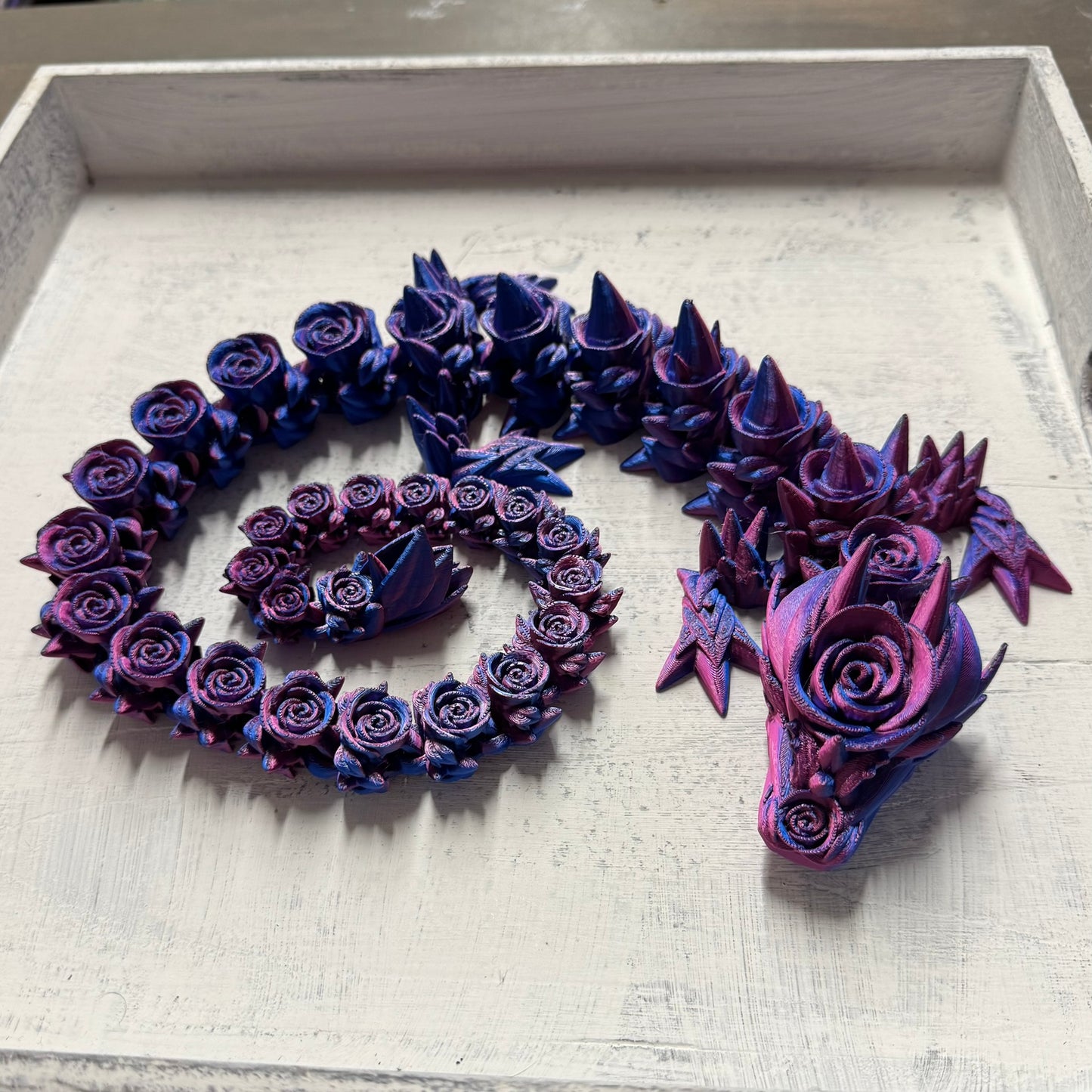 Dragon - Adult Rose