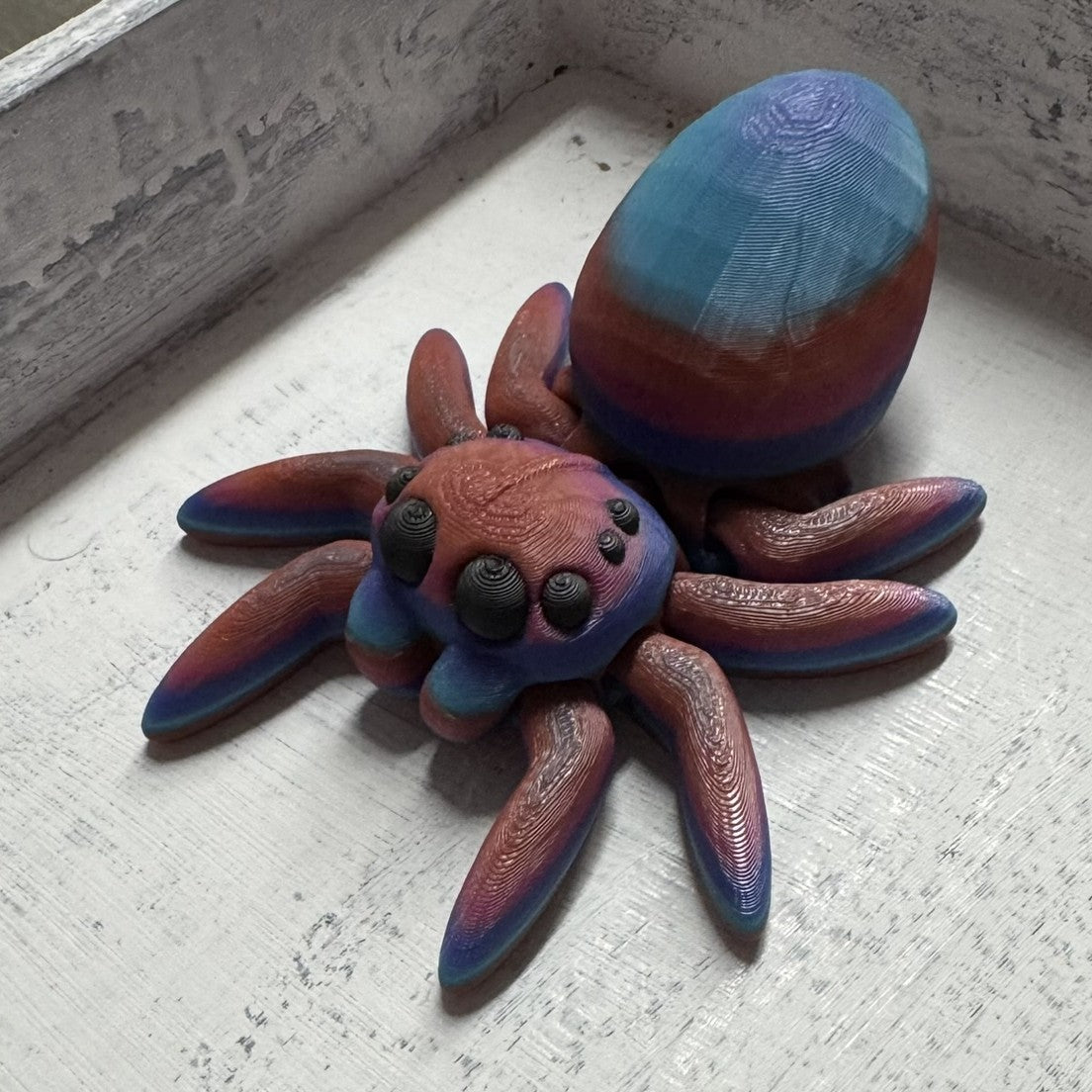 Spider - Egg