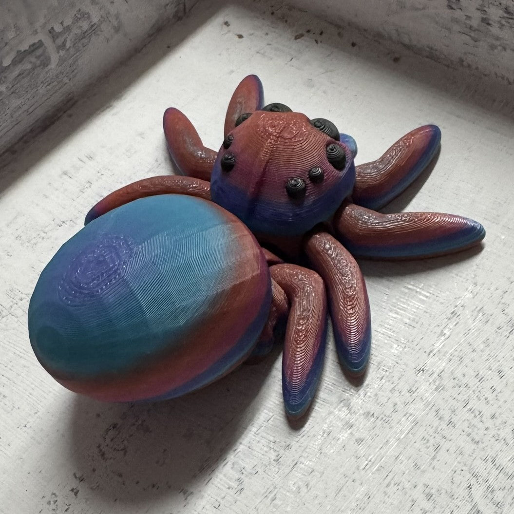 Spider - Egg